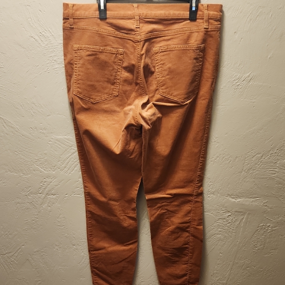 Rust Orange Pants - image 2